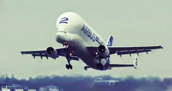 Airbus Beluga A300-600st 