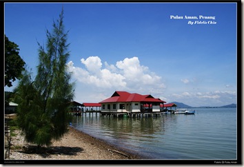 Pulau Aman95