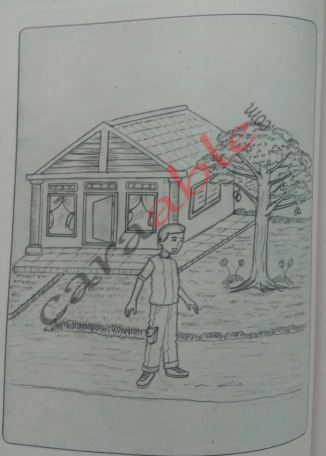 Tes Gambar Orang, Rumah, Pohon Psikotes/ House Tree Person 