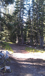 White Pine Trail Alta Utah