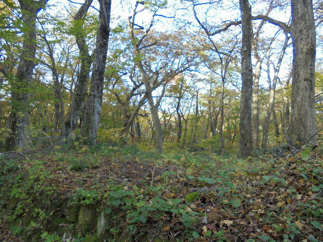 下山キャンプ場