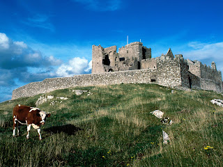 Cashel Castle in Ireland wallpaper