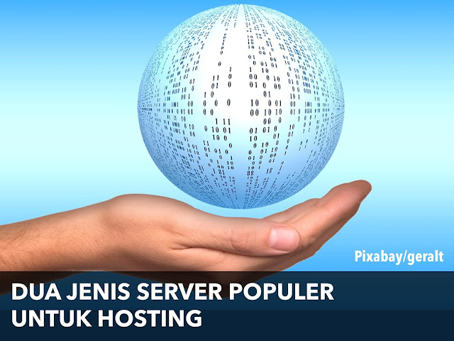 Dua Jenis Server Populer untuk Hosting