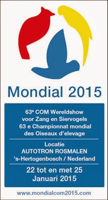 Mondial 2015