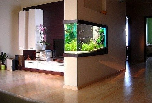 Yuk Coba 7 Ide Dekorasi Aquarium  Terbaik Untuk Rumahmu 