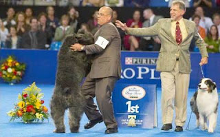 National Dog Show