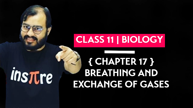 Class 11 Biology Chapter 17 Breathing and Exchange of Gases Hand Written Pdf Physics Wallah Notes Download