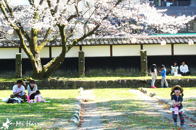 熊本城