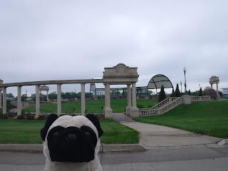 a white pavilion with many columns is visible behind a plush pug