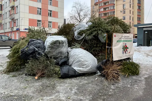 улица Верхняя Масловка, пункт приема новогодних елок