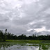 North Bengal Weather Forecast: ২৬-৩০ জুলাই পর্যন্ত উত্তরবঙ্গের আবহাওয়ার পূর্বাভাস