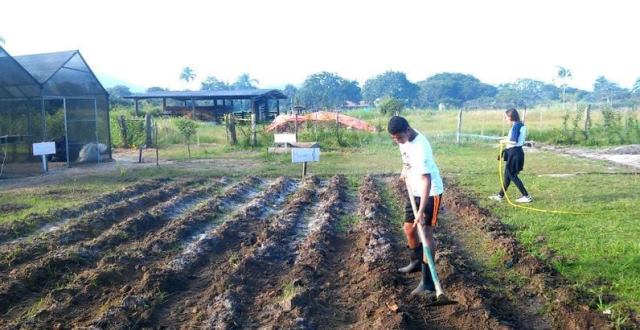 Últimas vagas para o Programa Jovem Agricultor do Futuro , na Ilha Comprida