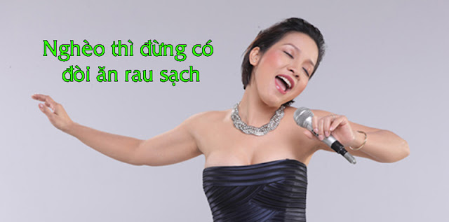 Mỹ Linh và phát ngôn gây sốc: Nghèo thì đừng mong có rau sạch ăn