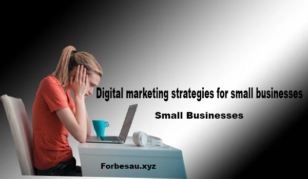 Small business digital marketing strategies