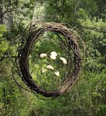 Paper Landscapes 2C