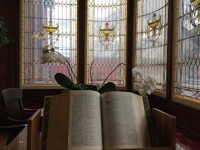 Looking out a window from a library in Hector.