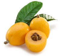 Loquat Extract for Cancer