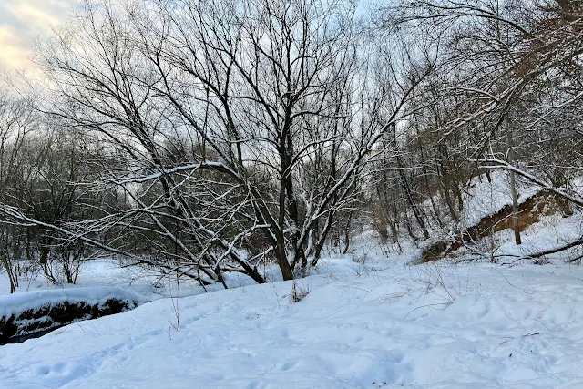 долина реки Котловки