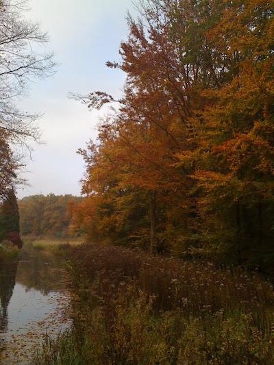 Les feuilles mortes