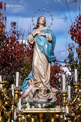 Inmaculada Concepción de María