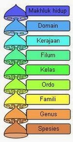 Rangkuman Biologi KLASIFIKASI  MAKHLUK HIDUP Pengertian 