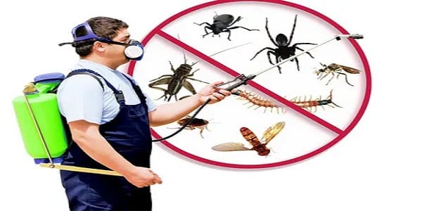 شركات مكافحة حشرات في اليمن