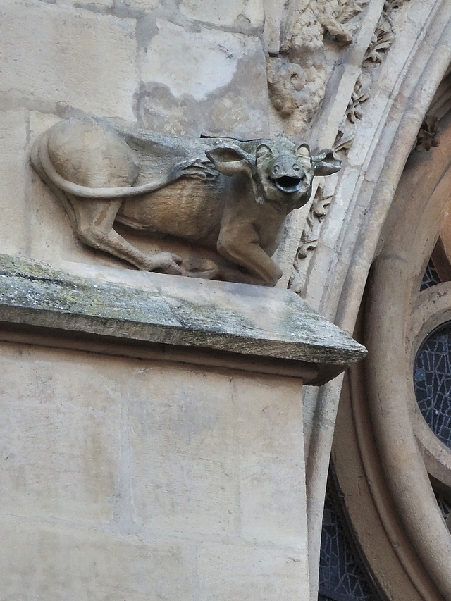 Metz: de kathedraal aan de buitenkant