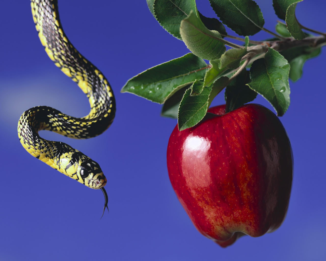 Search For Bible Truths: How Could the Snake in the Garden ...