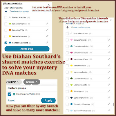 Divide your DNA matches with this color-coding system and watch all the pieces fall into place.