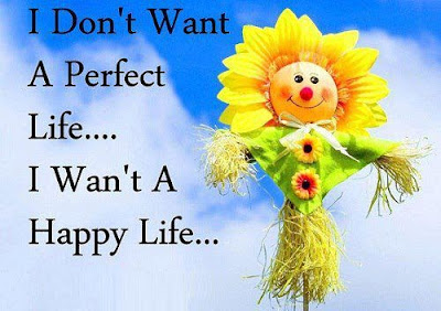 I don't want a perfect life..