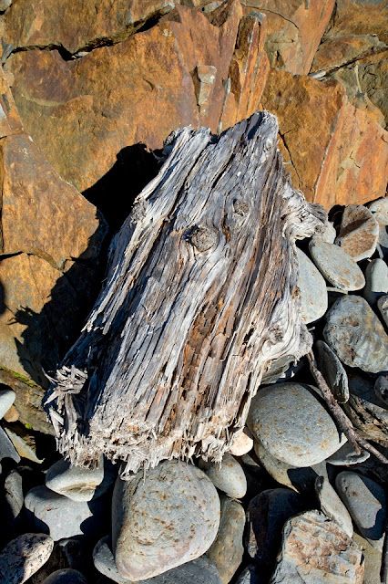 Nova Scotia; Gaff Point; driftwood; rock; stone