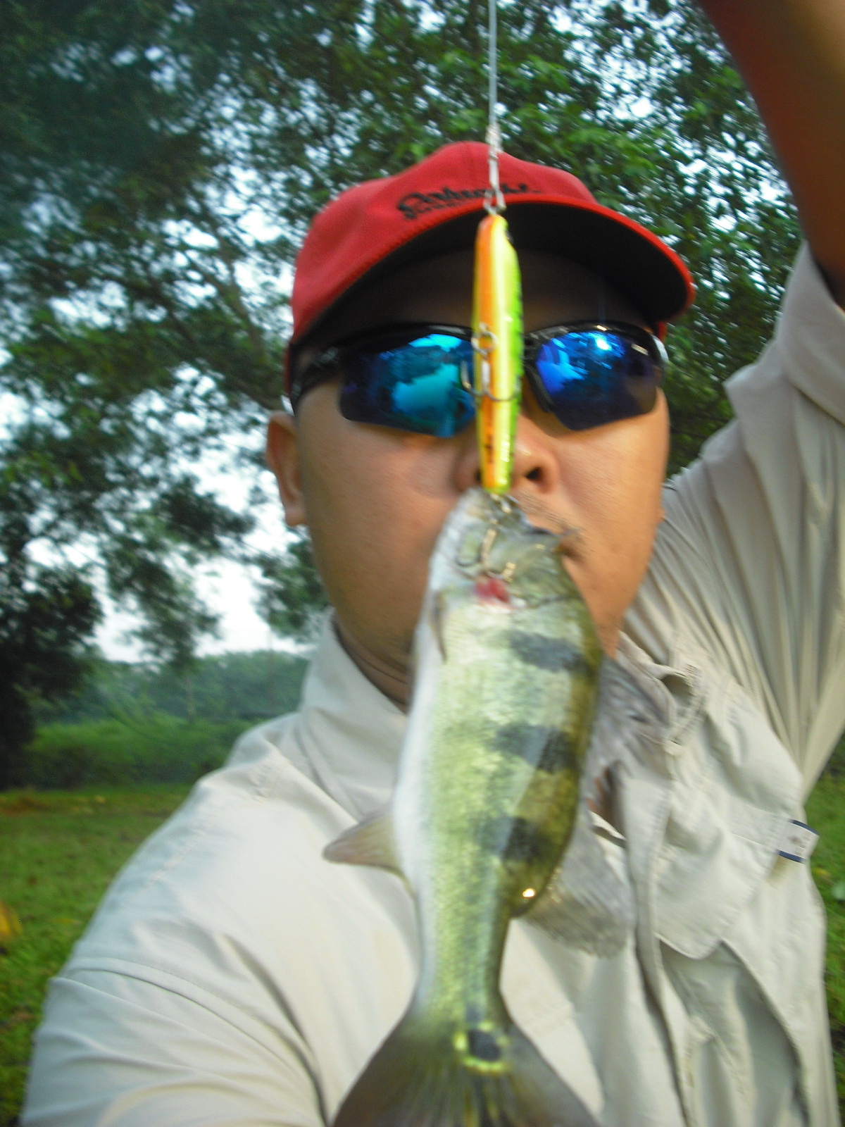 Joranharian blogspot com PEACOCK BASS SUBANG JAYA