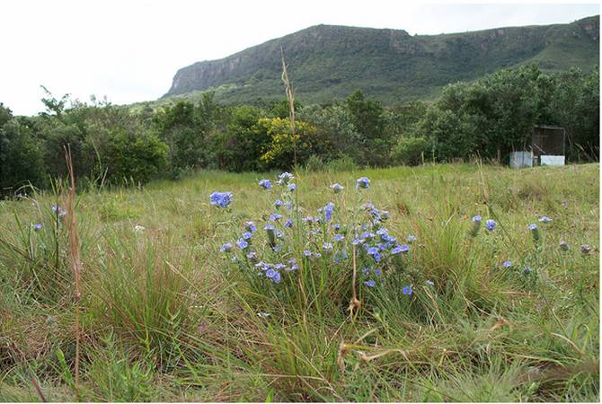 Itabaiana | Sergipe