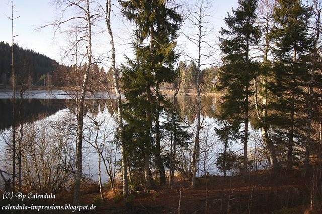 Windgfällweiher