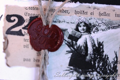 IMG_6385 blogg
