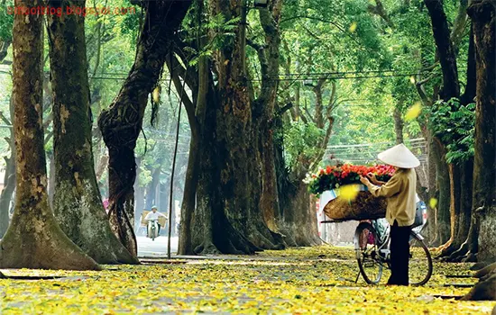 ha-noi-mua-thu