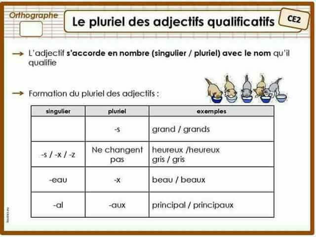 Orthographe pour 4ap