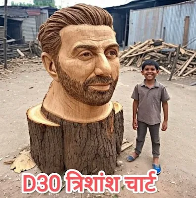 D30 त्रिशांश