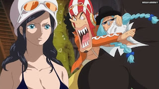 ワンピースアニメ ドレスローザ編 660話 ロビン フランキー ウソップ | ONE PIECE Episode 660