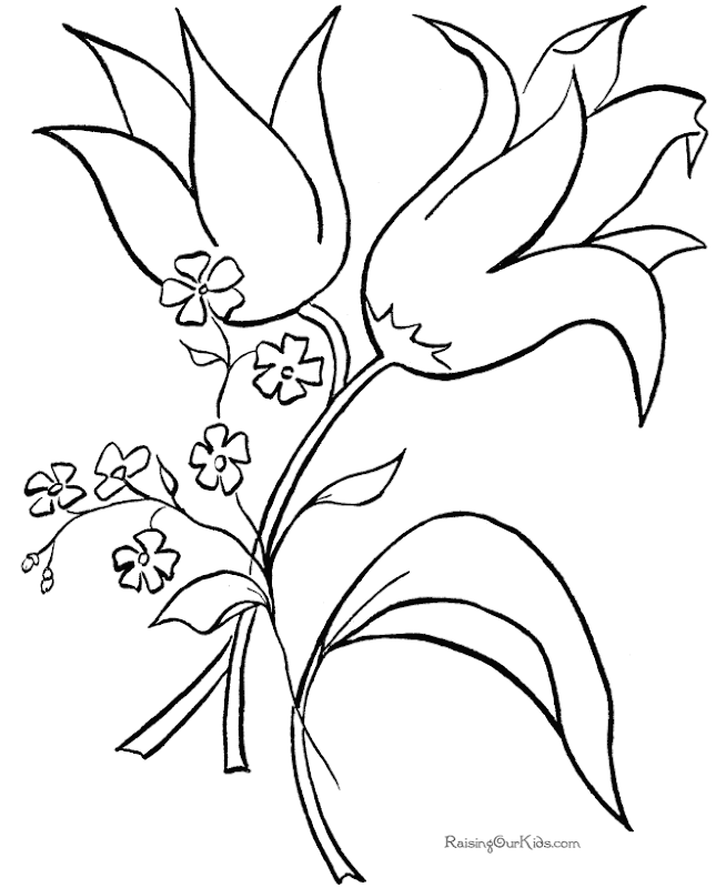 hd flower coloring pages printable download hq flower coloring pages  title=