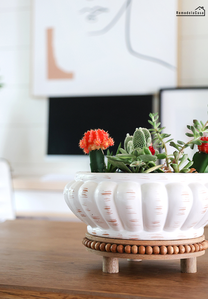 Thrifty bowl with succulents