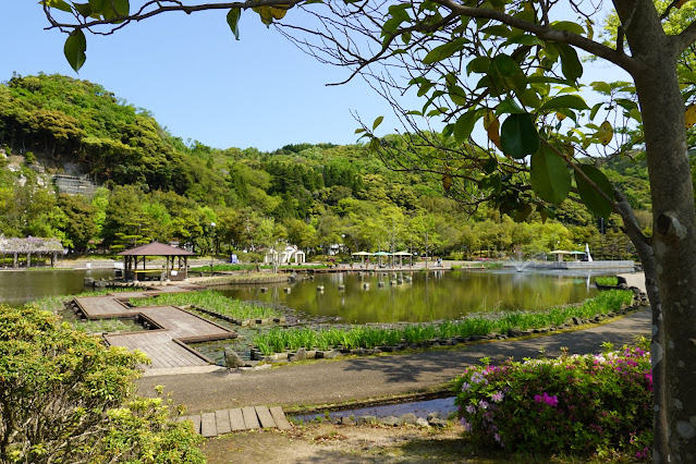 鳥取県東伯郡湯梨浜町藤津　東郷湖羽合臨海公園あやめ池公園