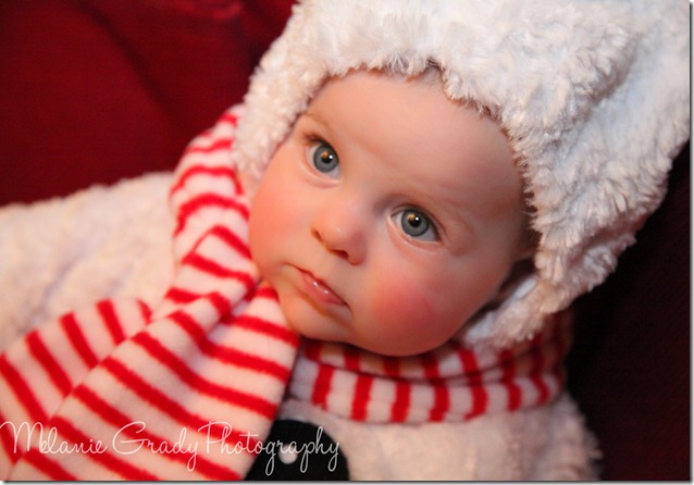 IMG_4120 IMG_4120