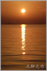 DSCF1010