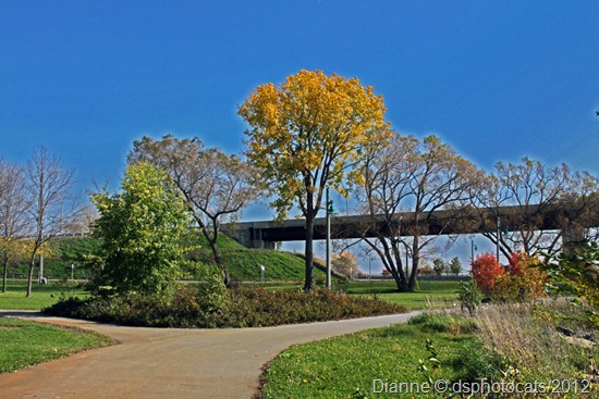 IMG_6759 The Path_1