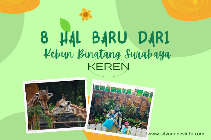 8 Hal Baru dari Kebun Binatang Surabaya, Keren!
