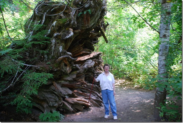 09-26-09 Grove of the Patriarchs - Mt Rainier 036