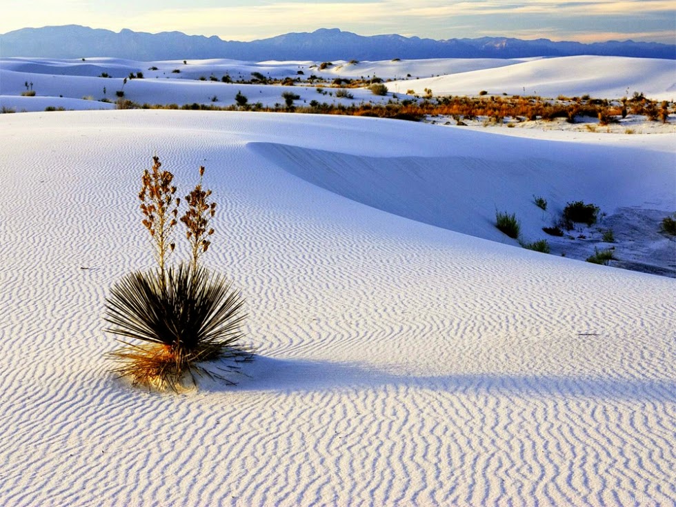 White Sands – the Largest Gypsum Desert in the World, USA