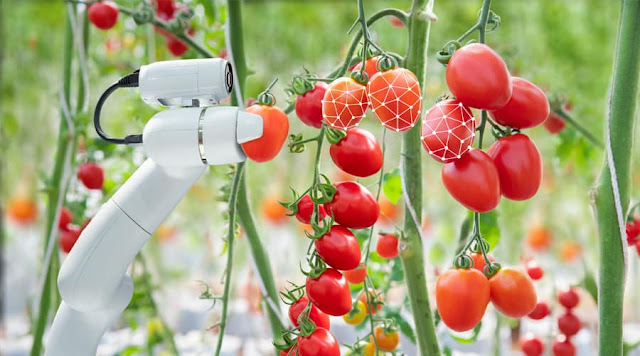 Fruit Picking Robots