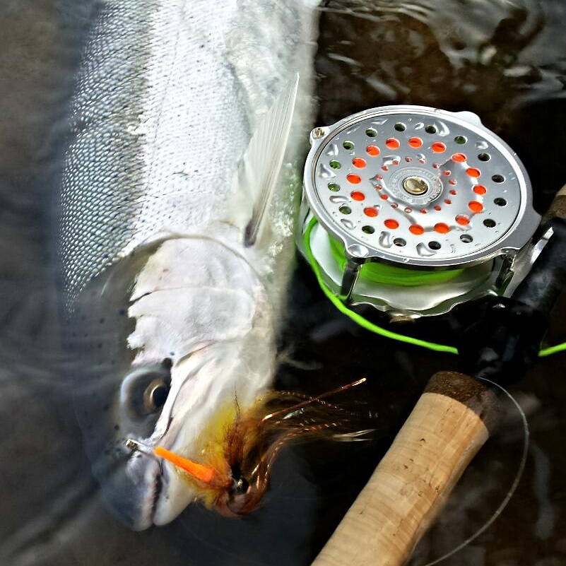 Gorge Fly Shop Blog: Going Old School - Click Pawl Reels